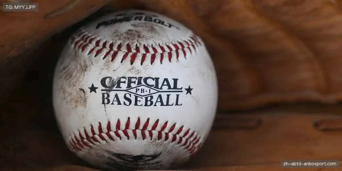 🎮 从装备到收藏，一站式满足你的体育情怀！